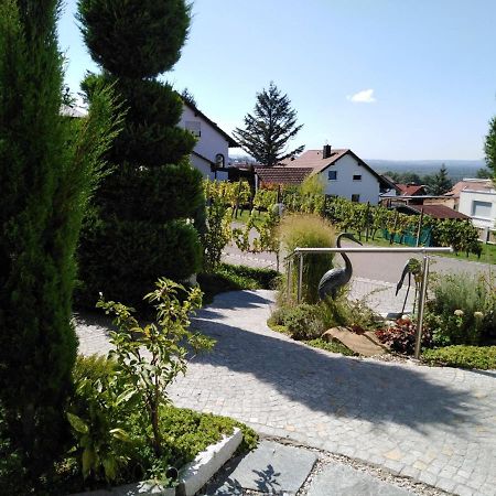 Ferienwohnung Wisser- Fernblick Bad Bellingen Buitenkant foto