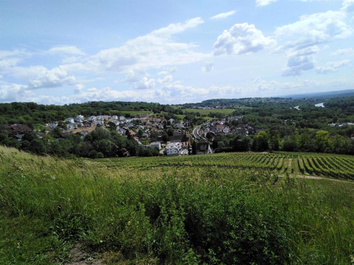 Ferienwohnung Wisser- Fernblick Bad Bellingen Buitenkant foto